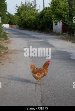 Explore chicken road spielen