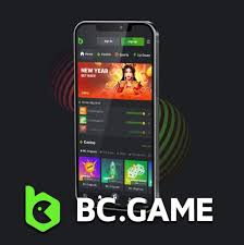 Explore the Thrills of Online Casino and Betting Platform