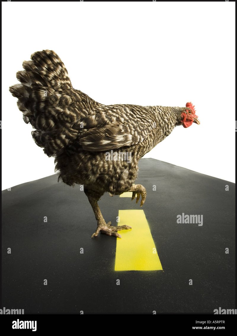 Speel Chicken Road en Win Prinsipelen in het Online Casino Nederland