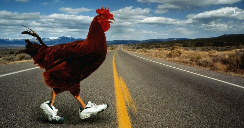 Speel met de Kip op de Chicken Road Gokspel in Nederland Online in Netherlands